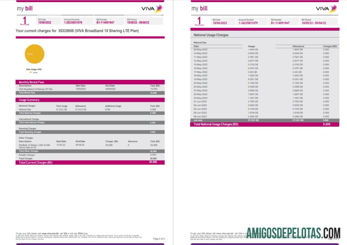 imprimível Bahrain Viva Minha conta de serviços públicos modelo Word e PDF, 5 páginas 3 4